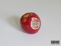 #3283 Apple